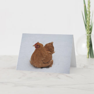 Pekin Chicken in the Snow Card