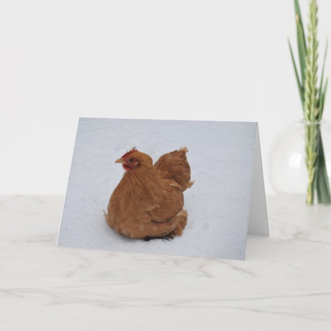 Pekin Chicken in the Snow Card (Front)