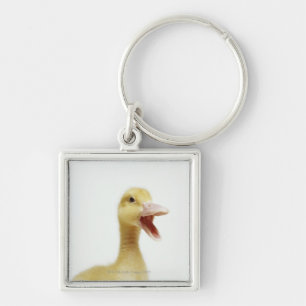Pekin duck chick, head-shot keychain