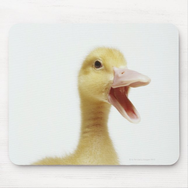 Pekin duck chick, head-shot mouse pad (Front)