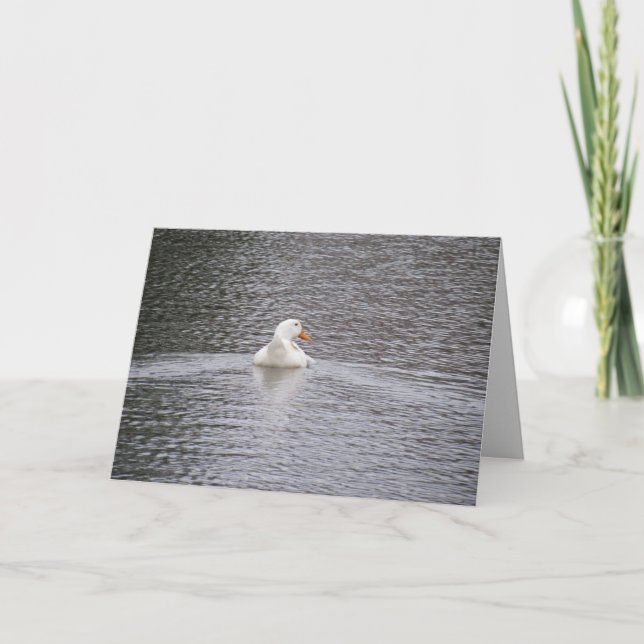 Pekin Duck nage loin Carte de voeux (Devant)