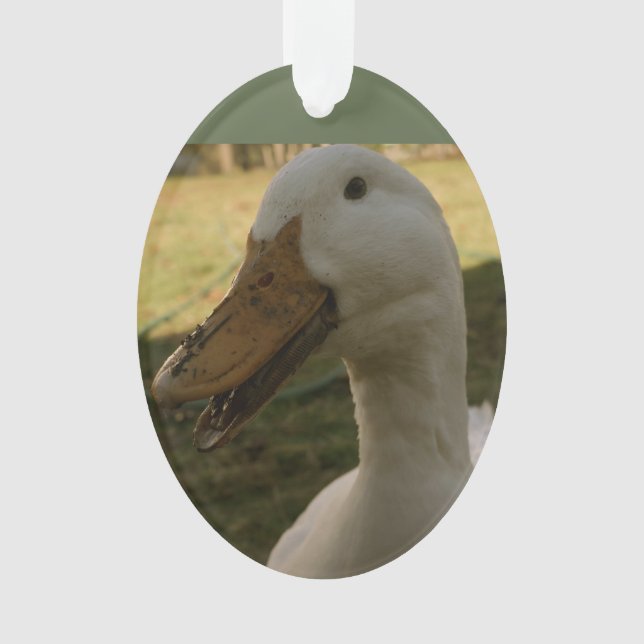 Pekin Duck Ornament (Front)