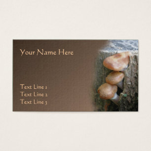 Pékin Wild Champignons Brown Nature