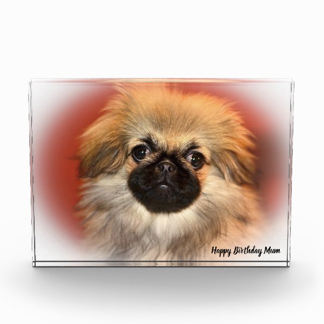 Pekinese Dog Photo Block (Front)