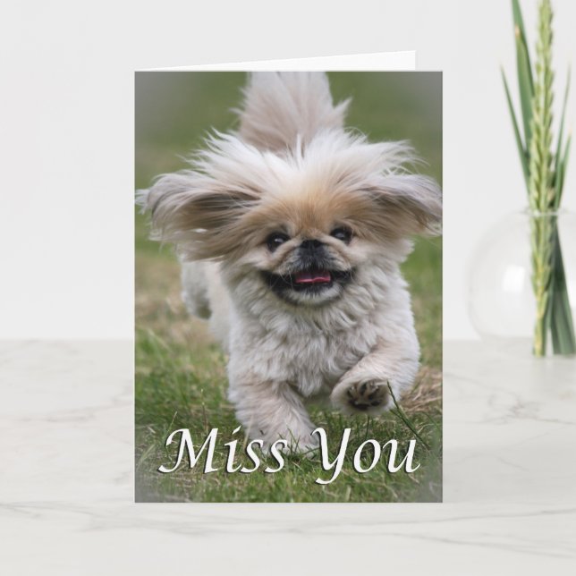 Pekinese miss you card (Front)
