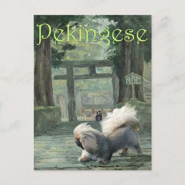 Pekingese at Oriental Gateway Postcard (Front)