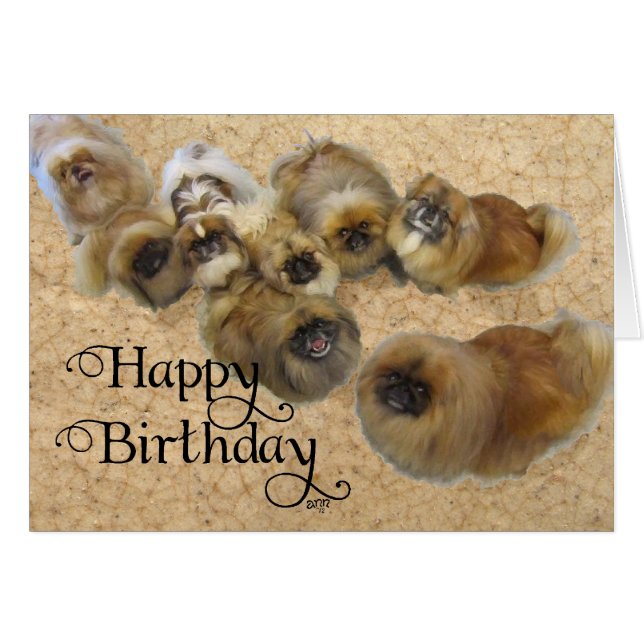 Pekingese Birthday Greeting Card (Front Horizontal)