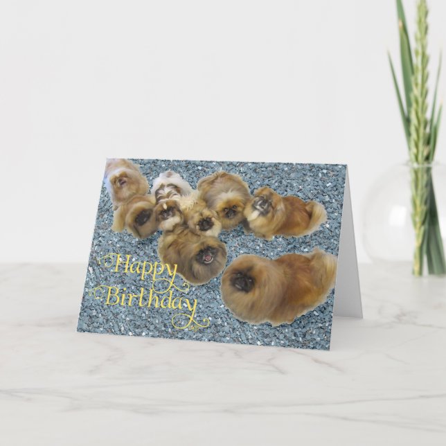 Pekingese Birthday Greeting Card (Front)