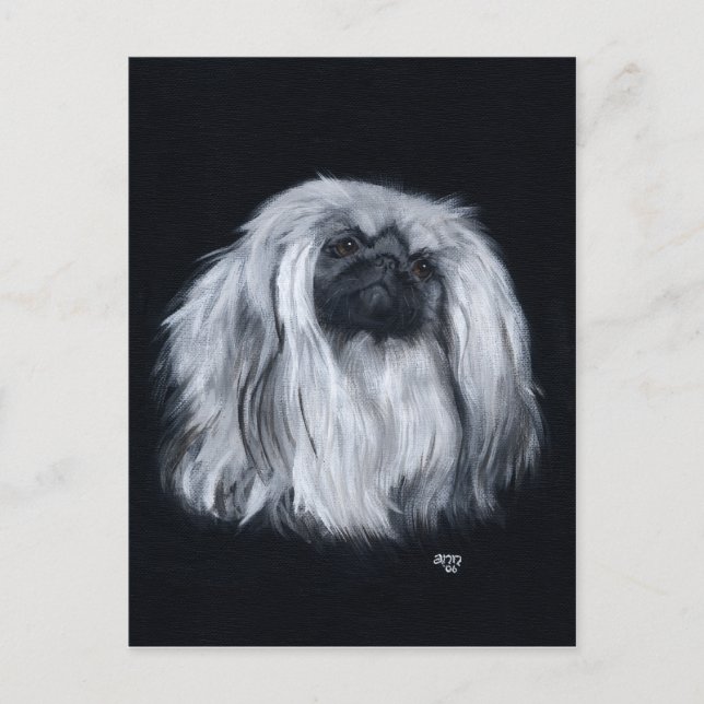 Pekingese Black & White Postcard (Front)