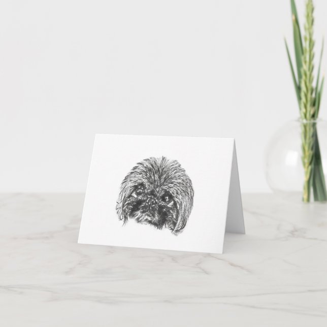 Pekingese blank correspondence cards (Front)