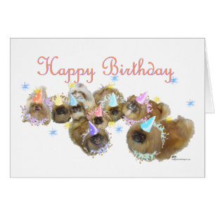 Pekingese Celebration Group