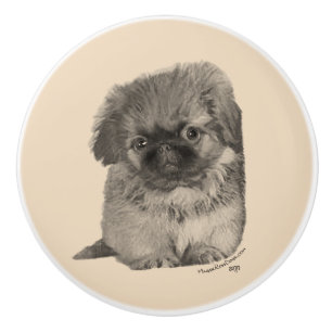 Pekingese Ceramic Knob
