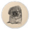 Pekingese
