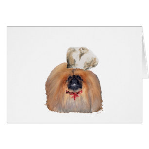 Pekingese Chef - Male