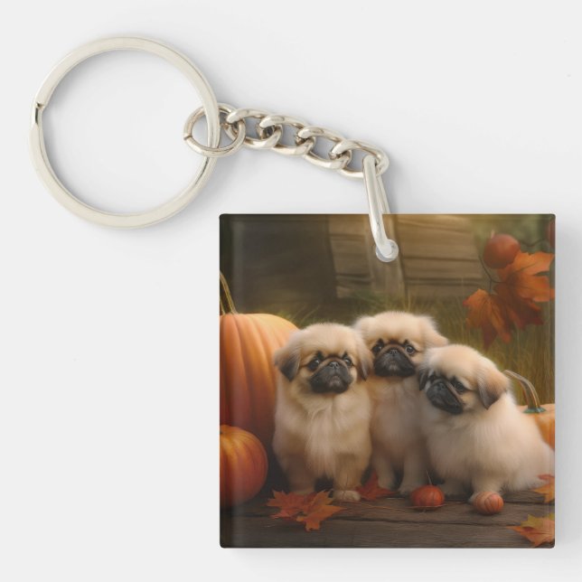 Pekingese Chiot Automne Citrouille délice (Devant)