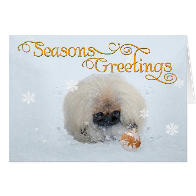 Pekingese Chiot Premier Noël (Devant horizontal)