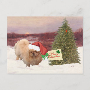 Pekingese Christmas Holiday Postcard