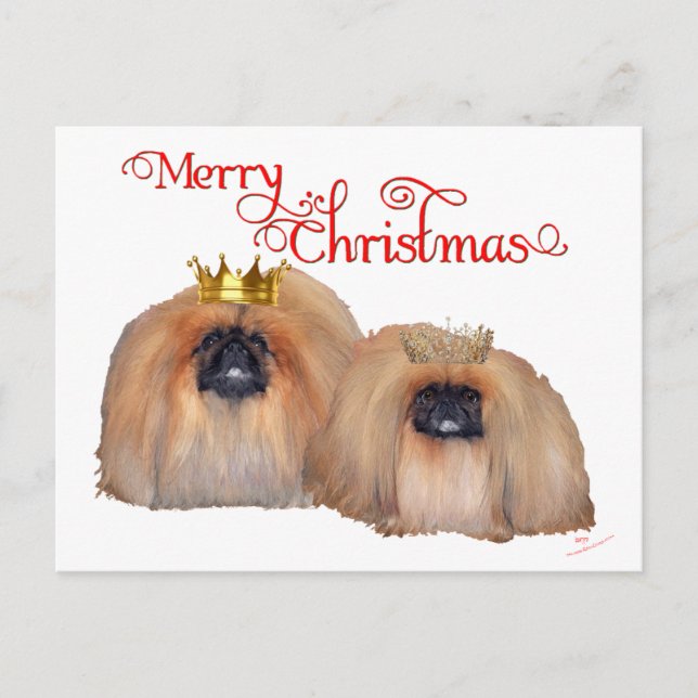 Pekingese Christmas Holiday Postcard (Front)