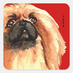 Pekingese Colour Block Square Sticker