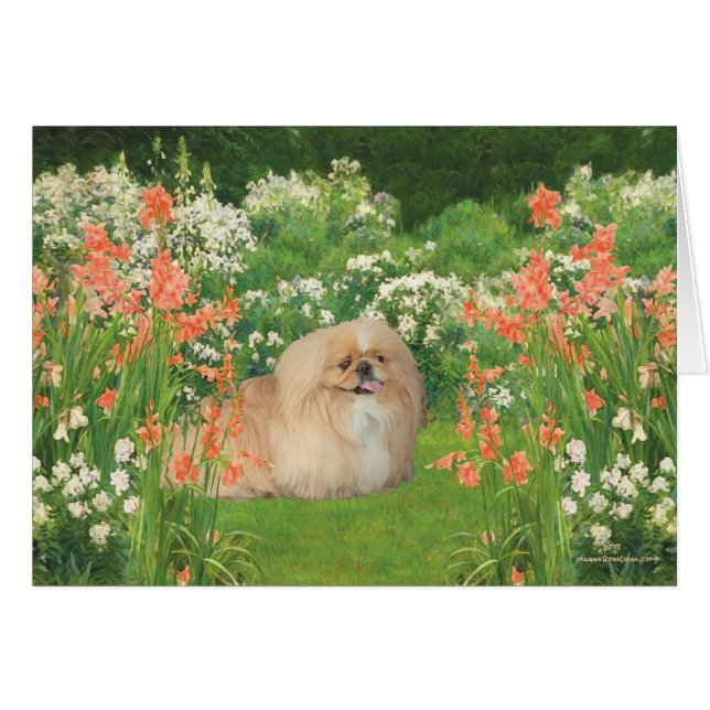 Pekingese dans le jardin (Devant horizontal)