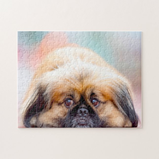 Pekingese Dog. Jigsaw Puzzle (Horizontal)
