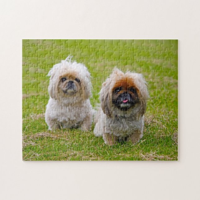 Pekingese Dog. Jigsaw Puzzle (Horizontal)