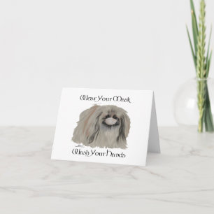 Pekingese Dog Notes