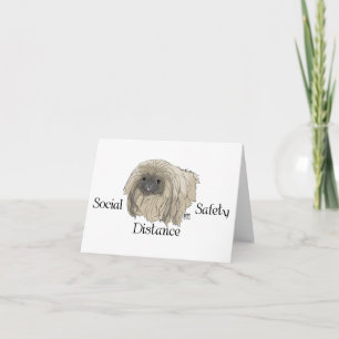 Pekingese Dog Notes