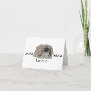 Pekingese Dog Notes