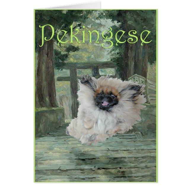 Pekingese Dog Oriental Gate (Front)