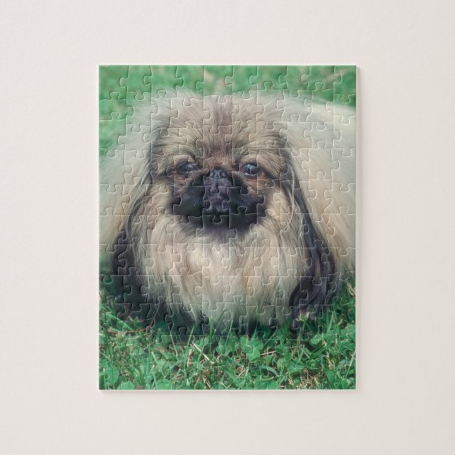 Pekingese Dog Puzzle (Vertical)