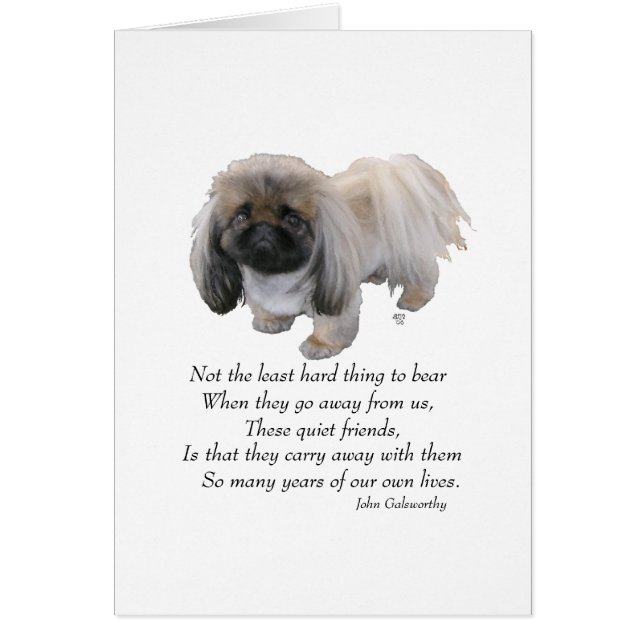 Pekingese Dog Rainbow Bridge (Front)