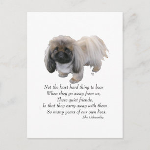 Pekingese Dog Rainbow Bridge Postcard