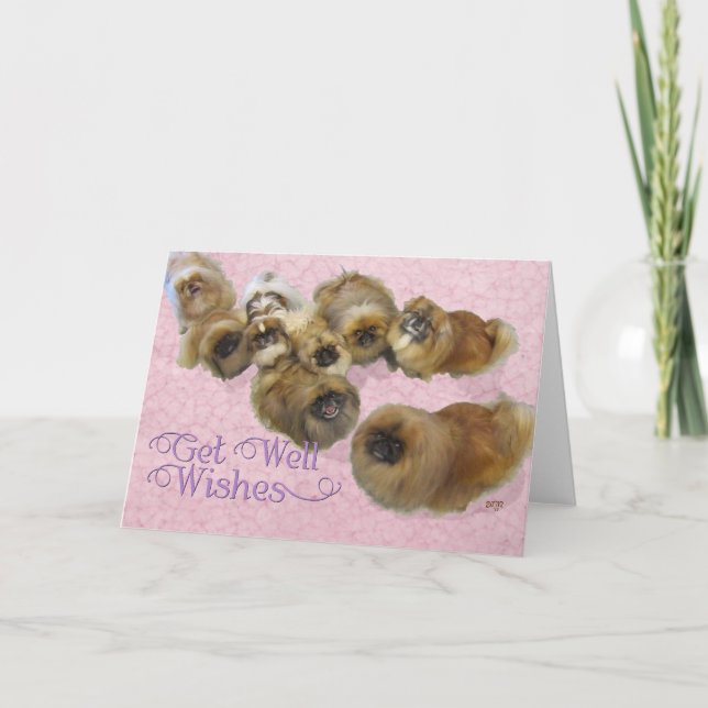 Pekingese Get Well Card (Front)