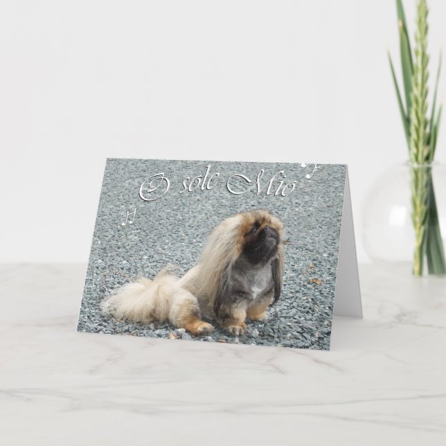 Pekingese Greeting Card (Front)