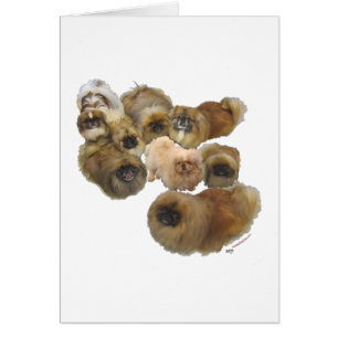 Pekingese Group