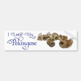 Pekingese Group Bumper Sticker