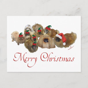 Pekingese Group Christmas Holiday Postcard