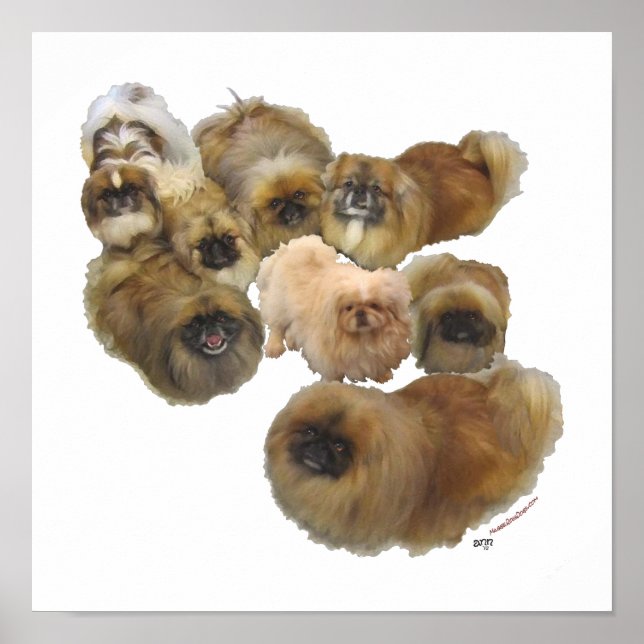 Pekingese Group Poster (Front)
