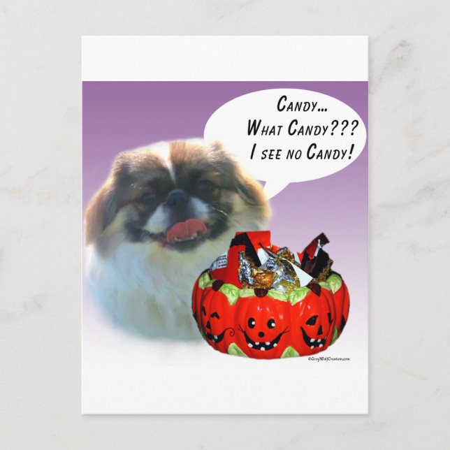 Pekingese Halloween Candy Postcard (Front)