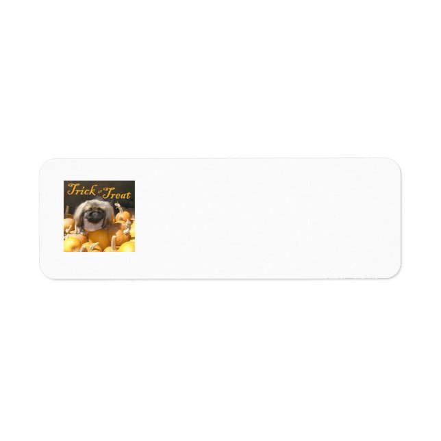 Pekingese Halloween Return Address Labels (Front)