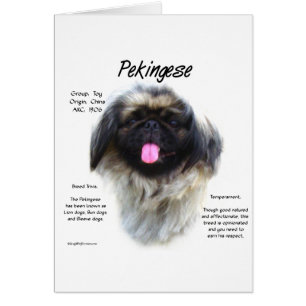 Pekingese History Design