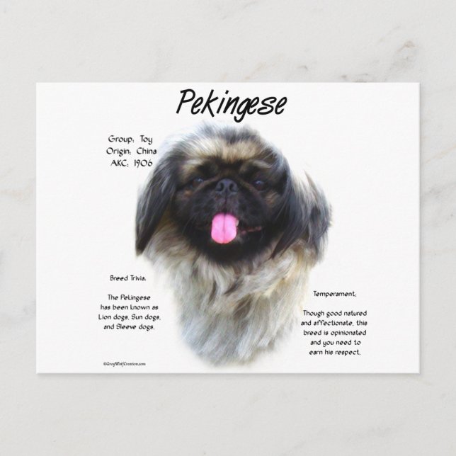 Pekingese History Design Postcard (Front)