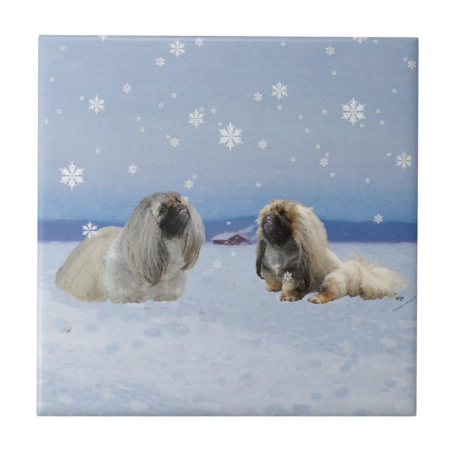 Pekingese in Winter Tile (Front)