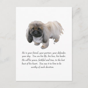 Pekingese Keepsake - MALE Postcard