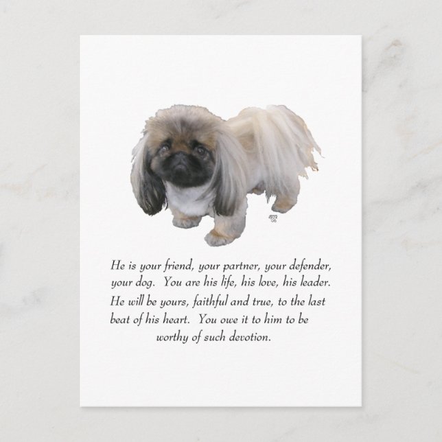 Pekingese Keepsake - MALE Postcard (Front)