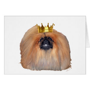 Pekingese King (Customize if you Wish!)
