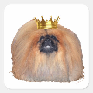 Pekingese King (Customize if you Wish!) Square Sticker