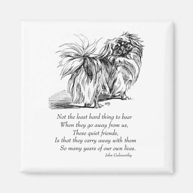 Pekingese Magnet (Devant)