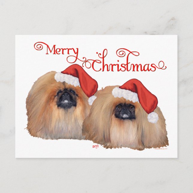 Pekingese Merry Christmas Holiday Postcard (Front)